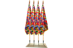 Set 4 Steaguri Protocol