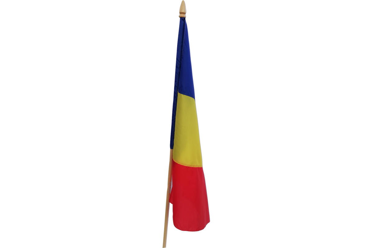 Steag Romania 160g/mp cu lance