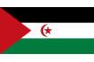 Steag Sahara Occidentală