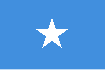 Steag Somalia
