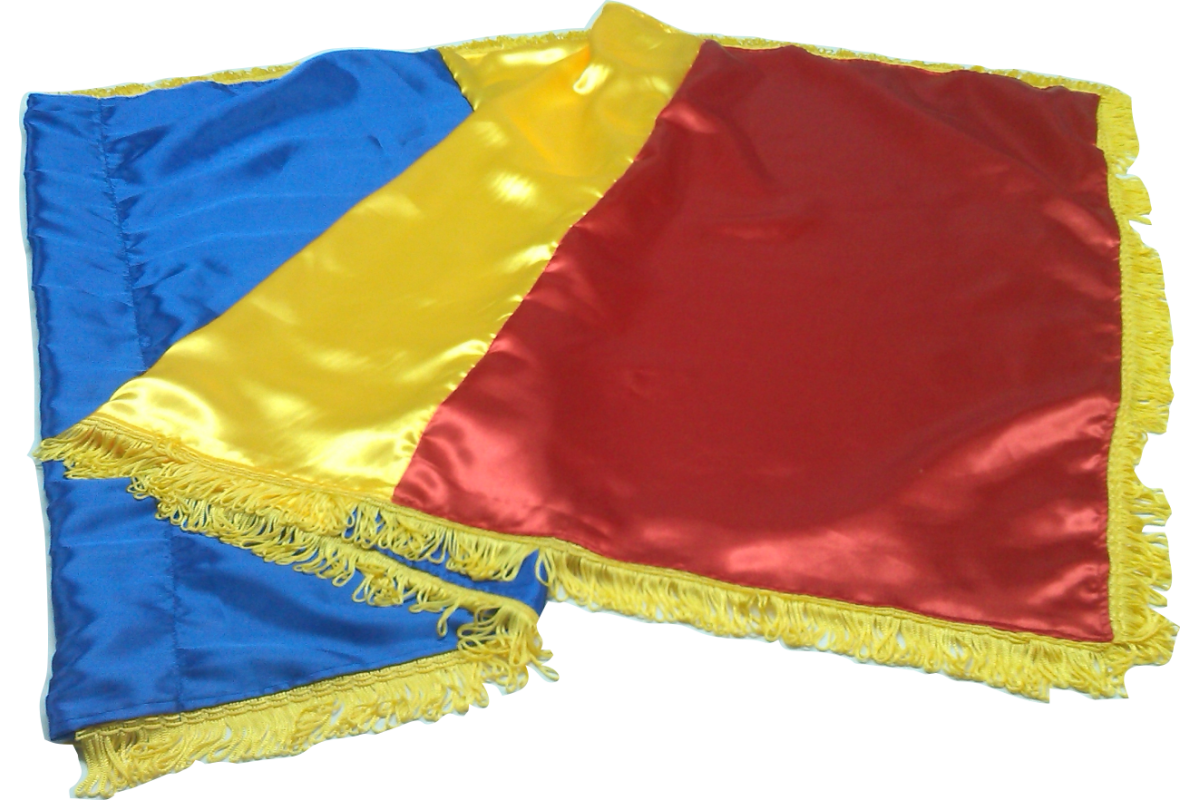 Steag Romania Satin Protocol Interior
