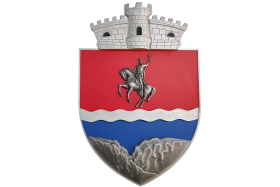 Stema basorelief 3d Localitate