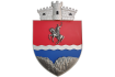 Steme 3D personalizate în basorelief pentru comune, orașe și instituții