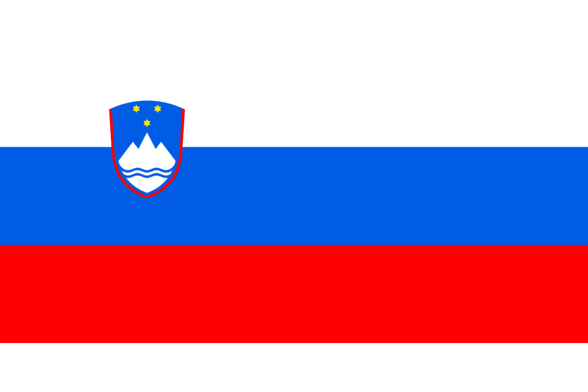 Steag Slovenia