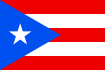 Steag Puerto Rico
