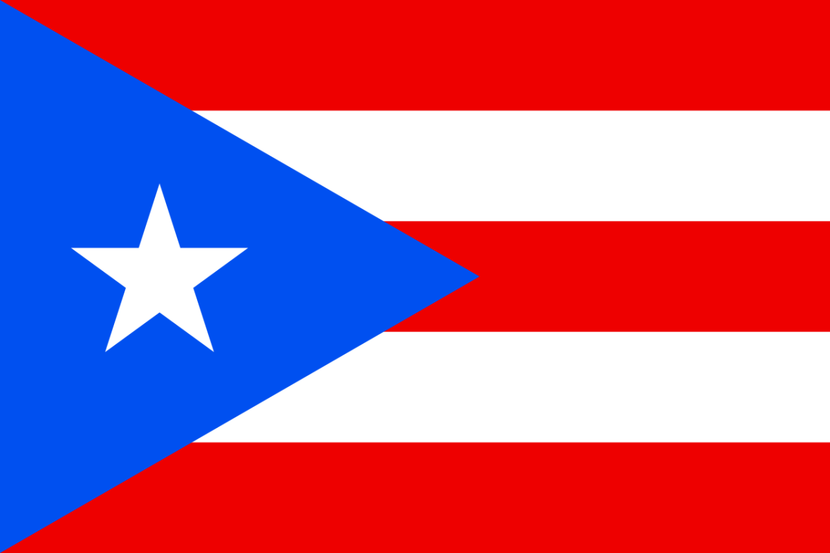 Steag Puerto Rico