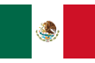Steag Mexic