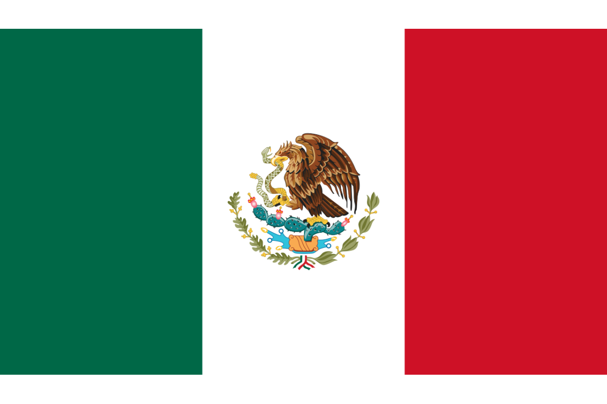 Steag Mexic