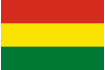 Steag Bolivia