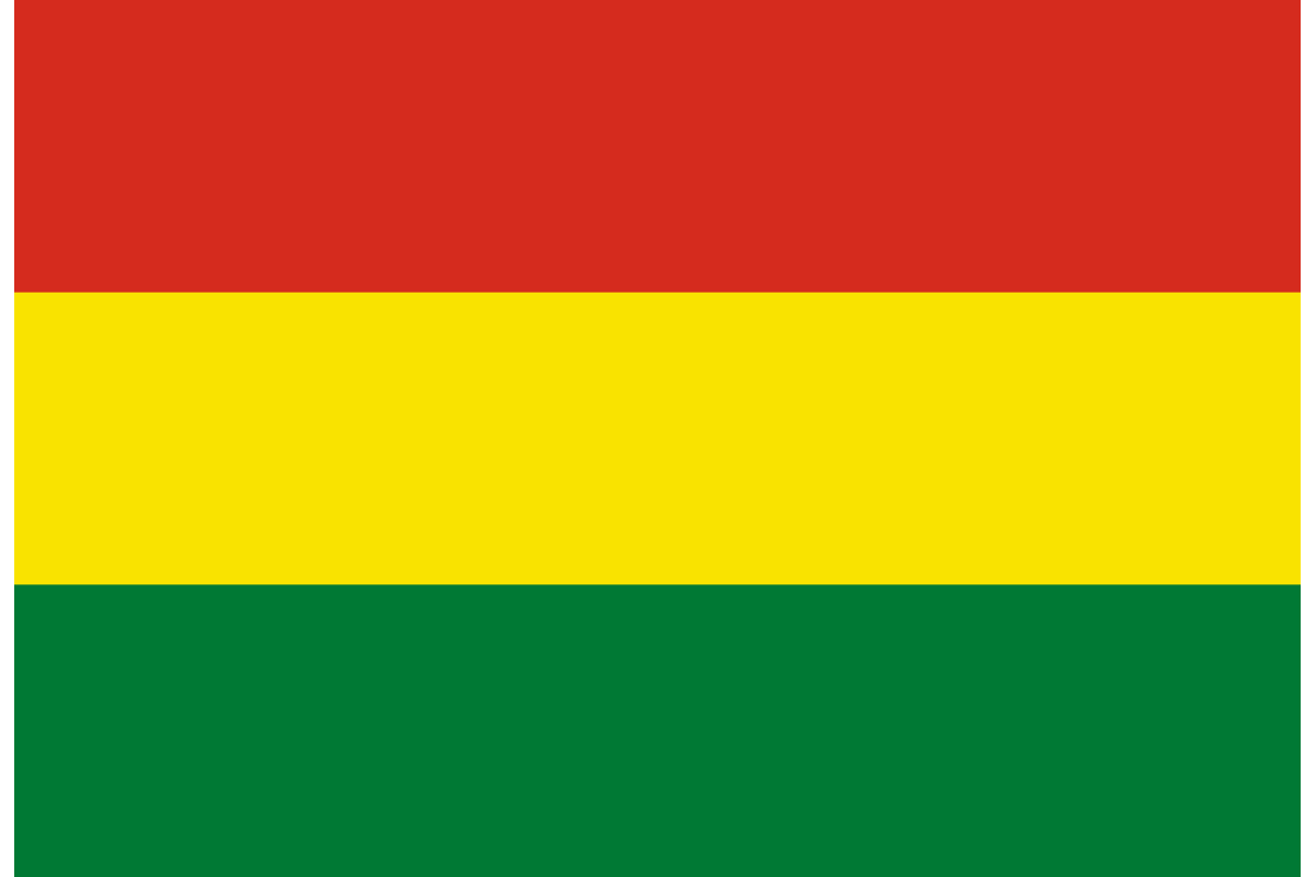 Steag Bolivia