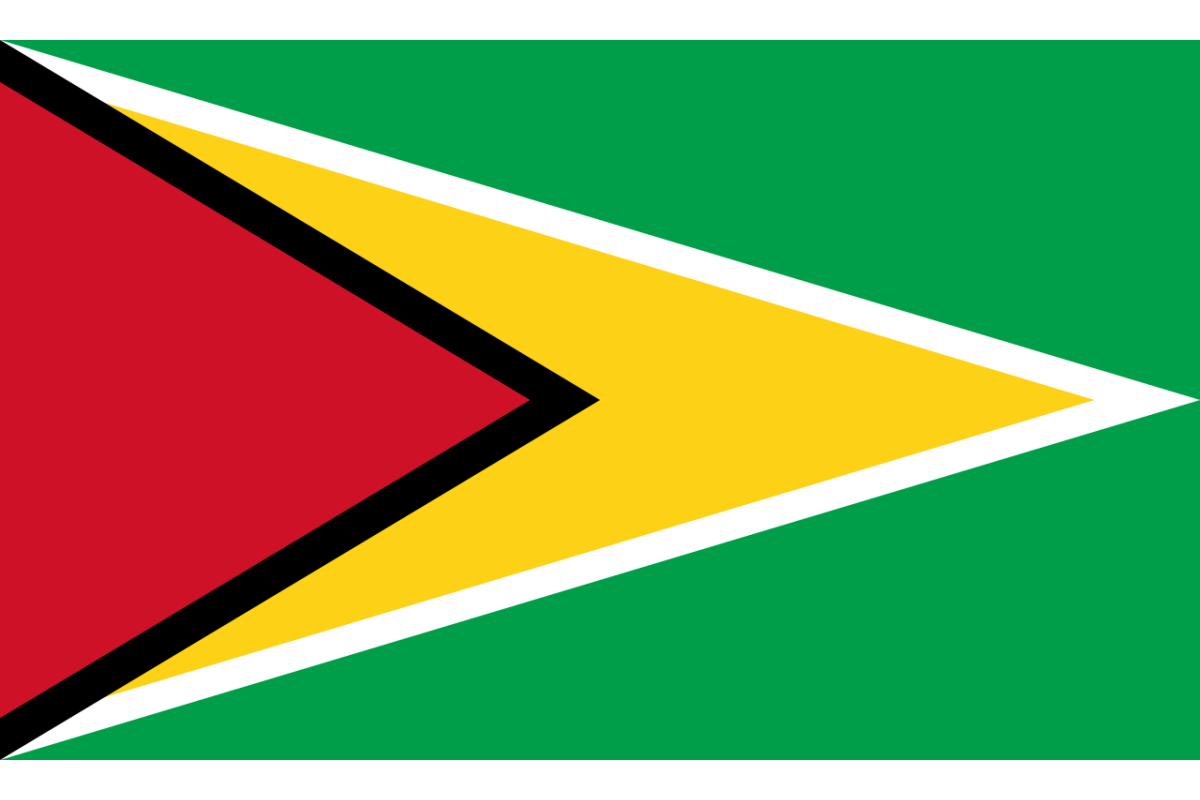 Steag Guyana