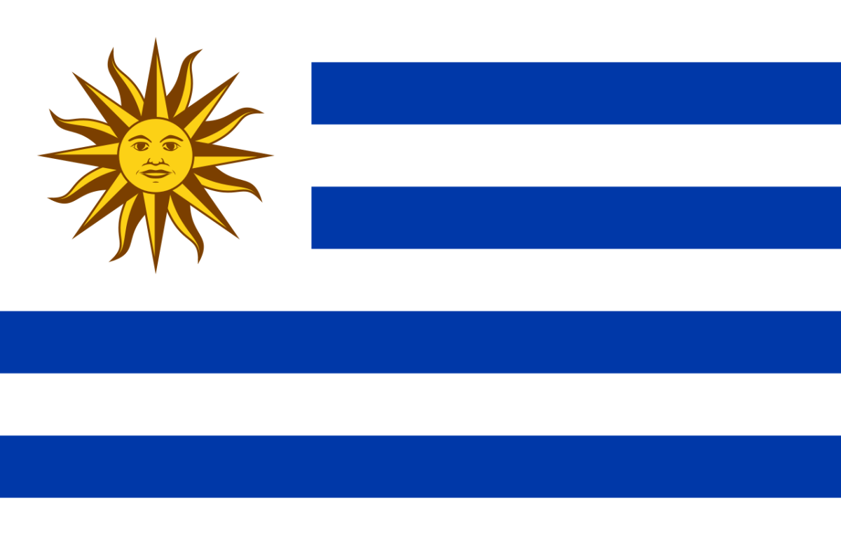 Steag Uruguay