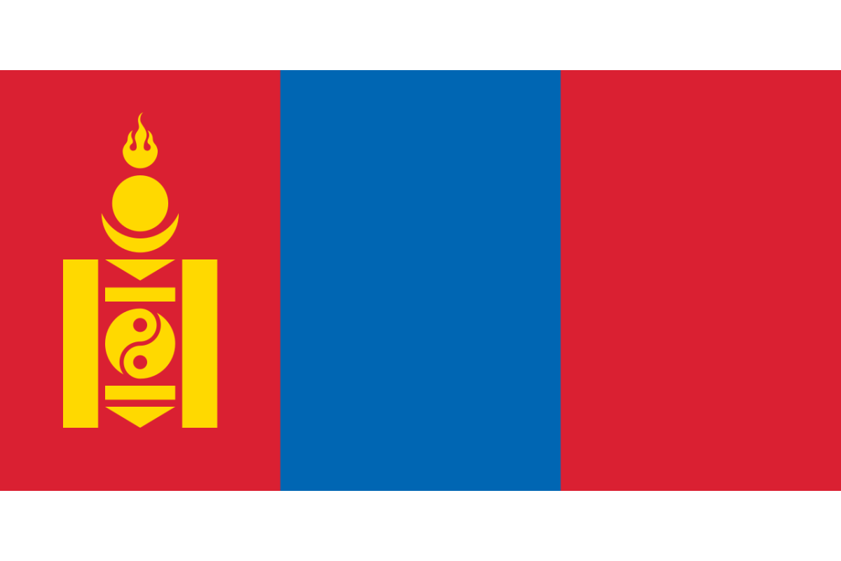 Steag Mongolia
