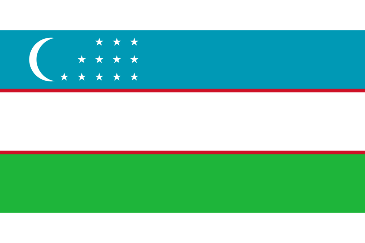 Steag Uzbekistan