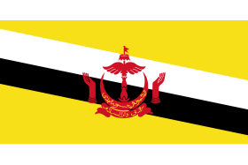 Steag Brunei