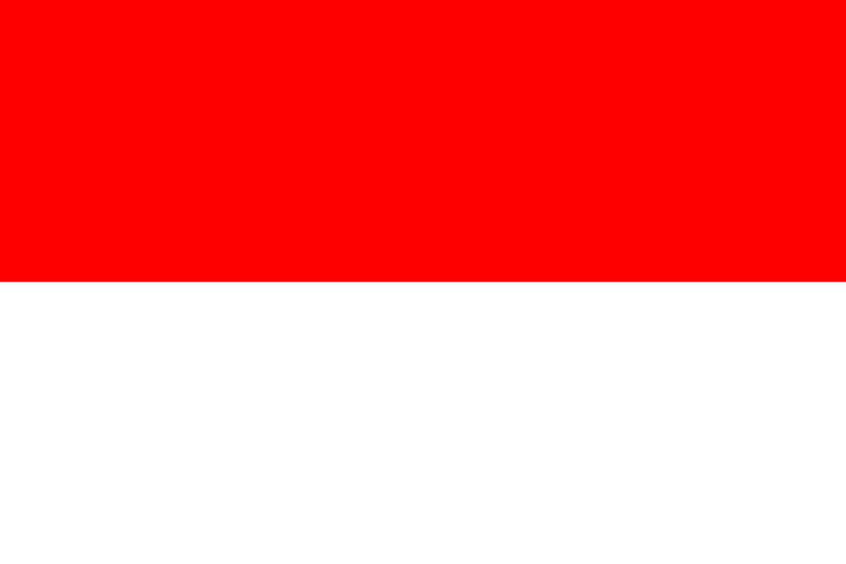 Steag Indonezia