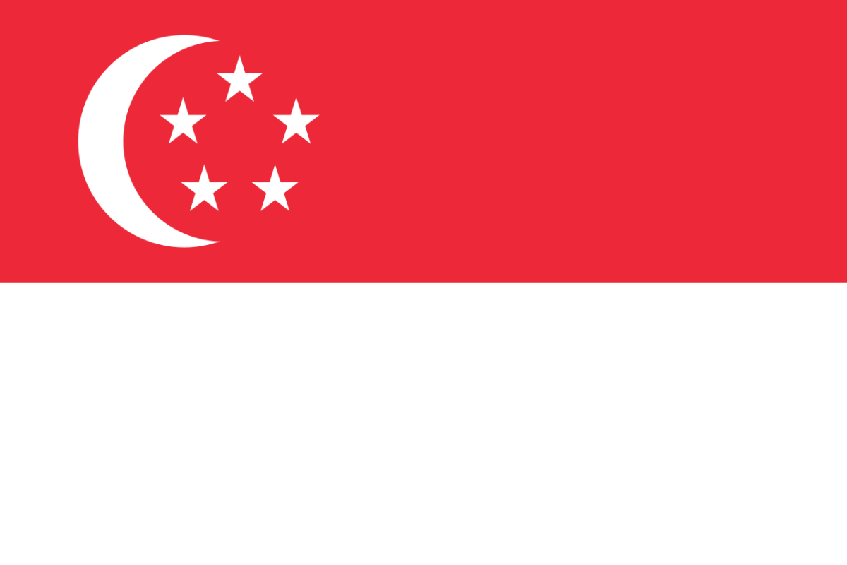 Steag Singapore