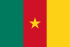 Steag Camerun
