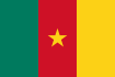 Steag Camerun