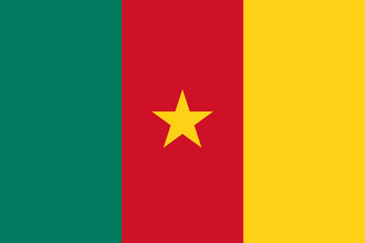 Steag Camerun