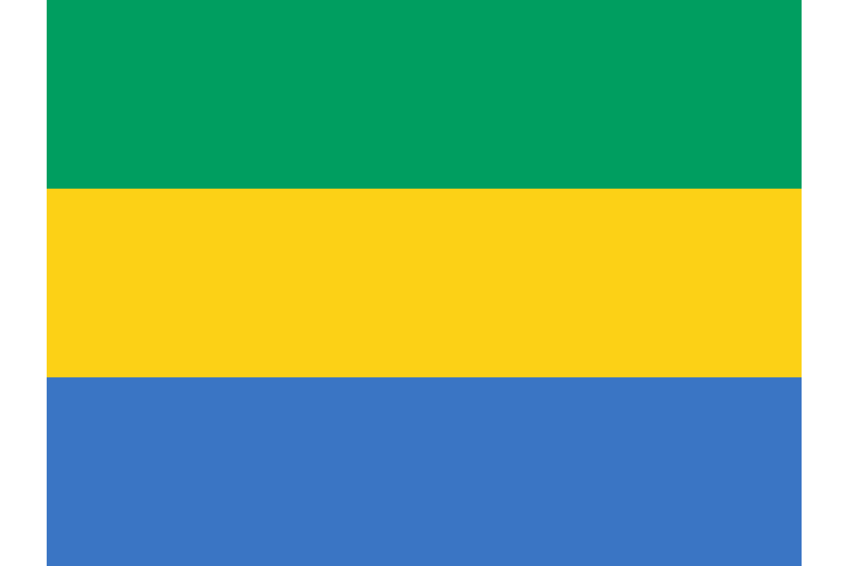 Steag Gabon