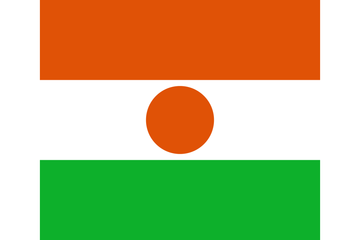 Steag Niger