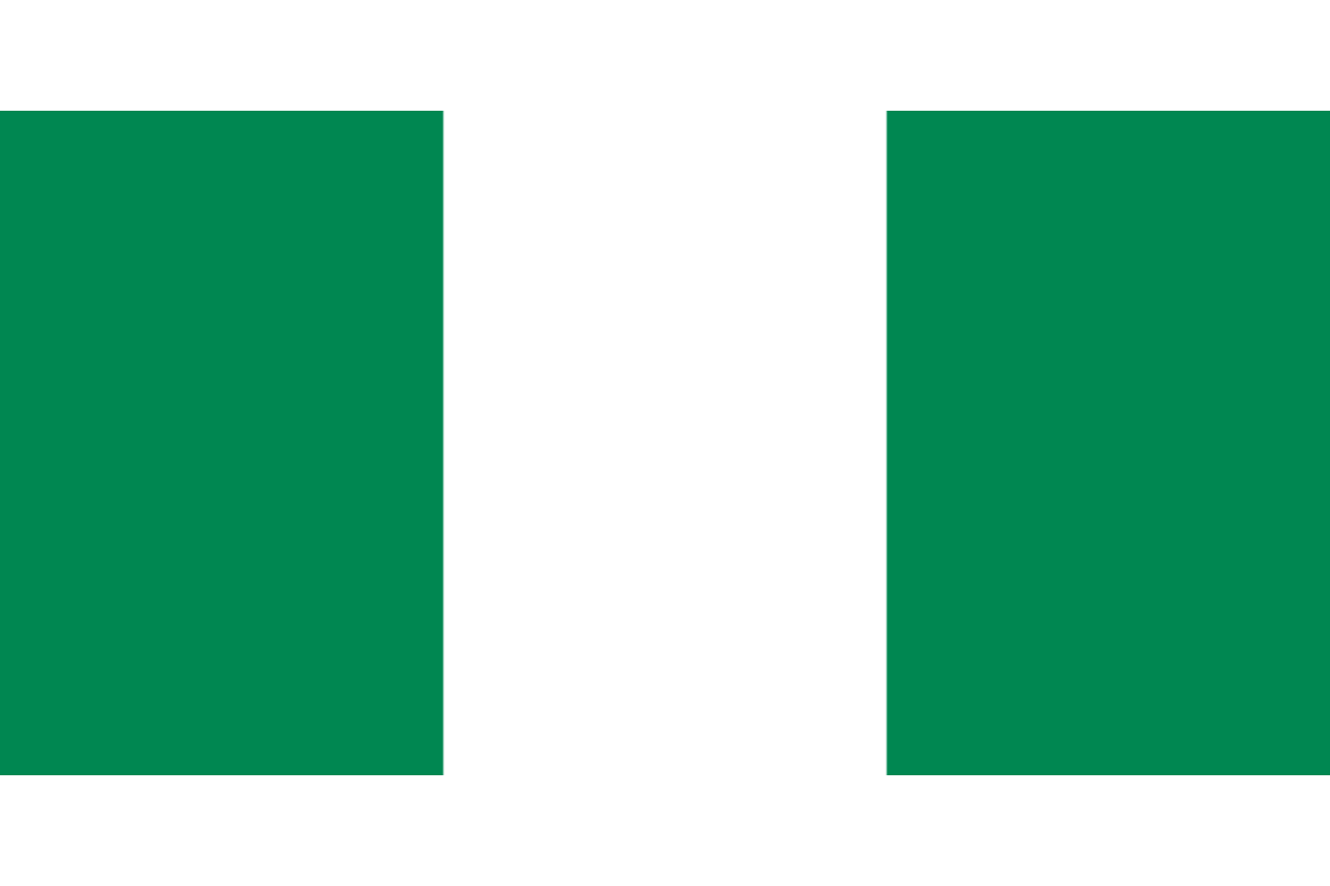 Steag Nigeria