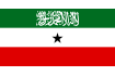 Steag Somaliland