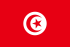 Steag Tunisia
