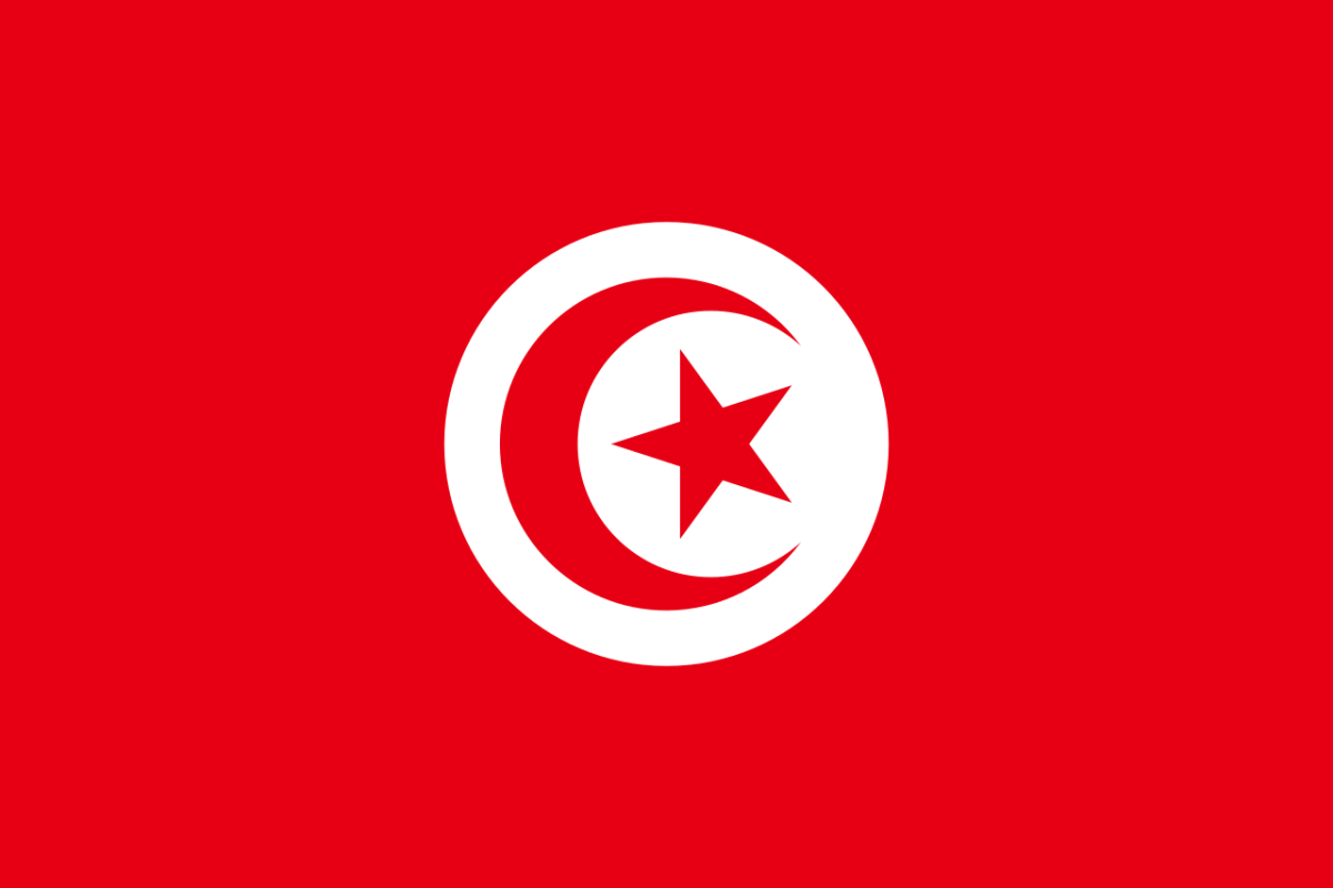 Steag Tunisia