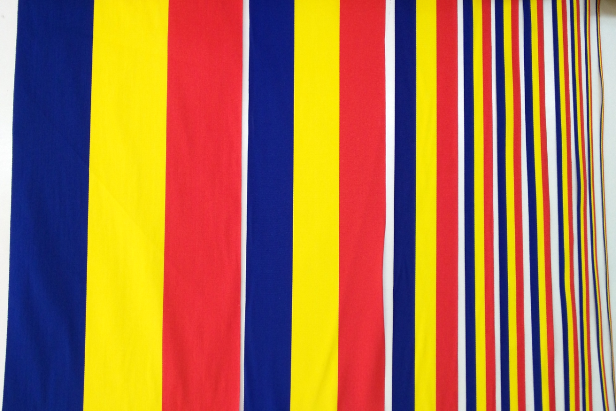 Panglica tricolor