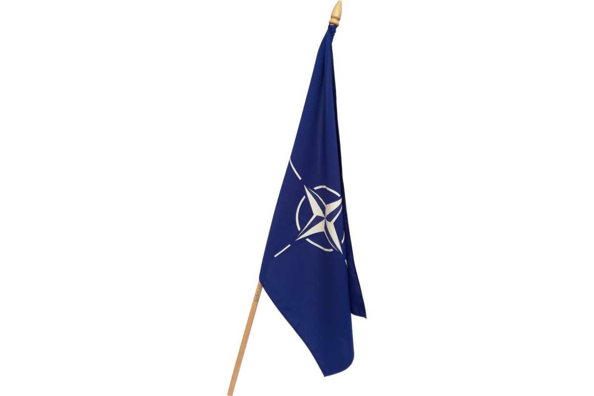 Steag Nato 160g/mp cu lance