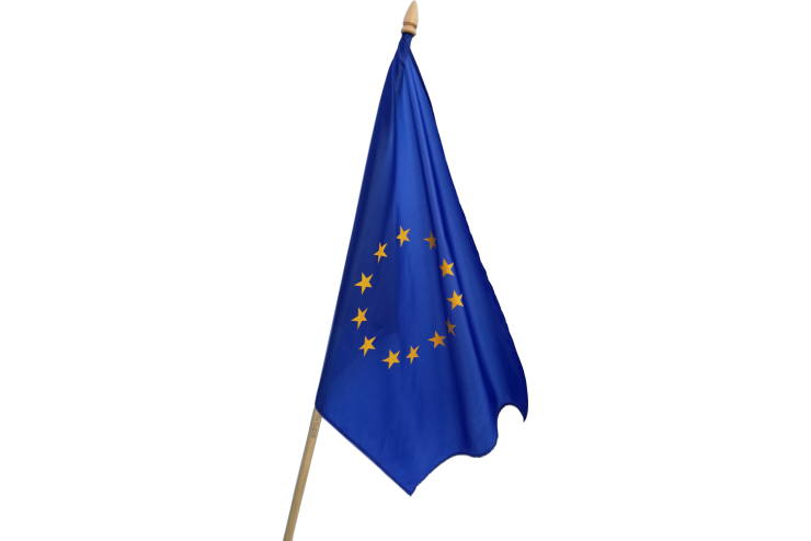 Steaguri Uniunea Europeana
